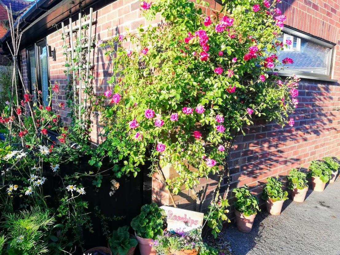 Rosehips At Kerensa, Naburn Apartman York Kültér fotó
